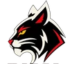 Logo RYS' SYSTEMA, tête de lynx
